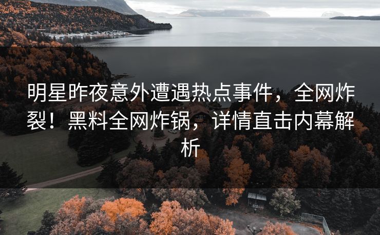 明星昨夜意外遭遇热点事件，全网炸裂！黑料全网炸锅，详情直击内幕解析