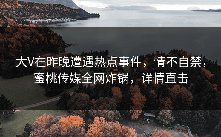 大V在昨晚遭遇热点事件，情不自禁，蜜桃传媒全网炸锅，详情直击