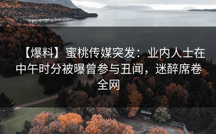 【爆料】蜜桃传媒突发：业内人士在中午时分被曝曾参与丑闻，迷醉席卷全网