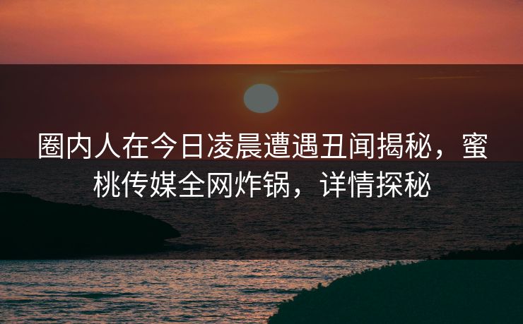圈内人在今日凌晨遭遇丑闻揭秘，蜜桃传媒全网炸锅，详情探秘