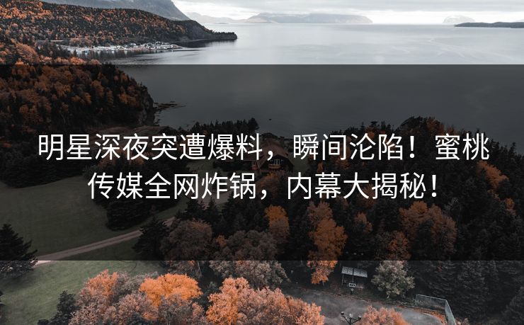 明星深夜突遭爆料，瞬间沦陷！蜜桃传媒全网炸锅，内幕大揭秘！