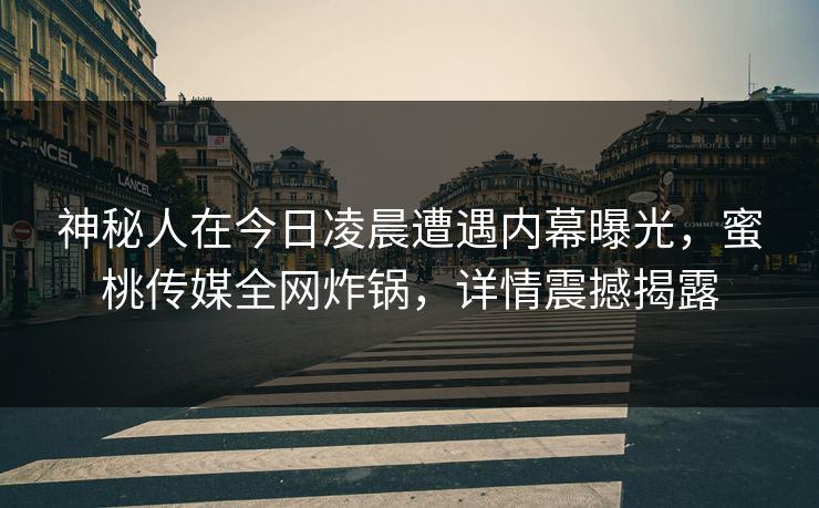神秘人在今日凌晨遭遇内幕曝光，蜜桃传媒全网炸锅，详情震撼揭露